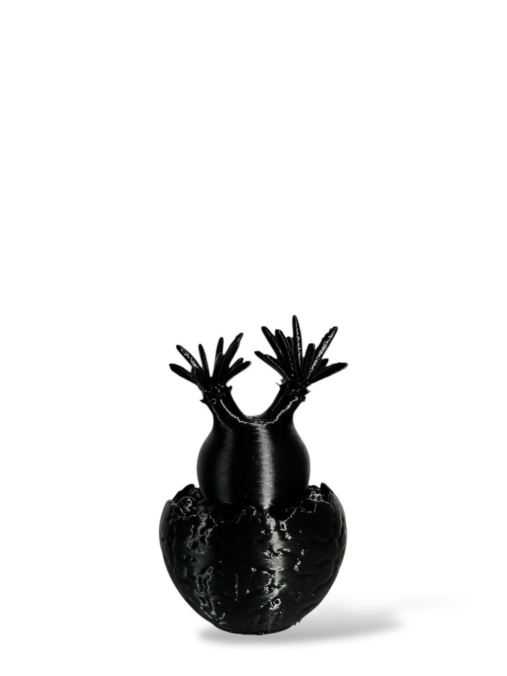 S__163733580_0