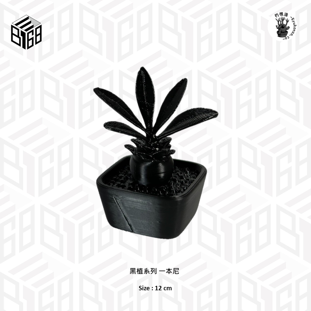 圖片3