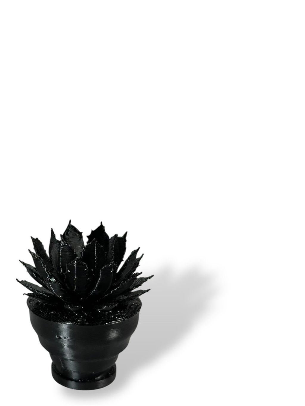 S__163790865_0