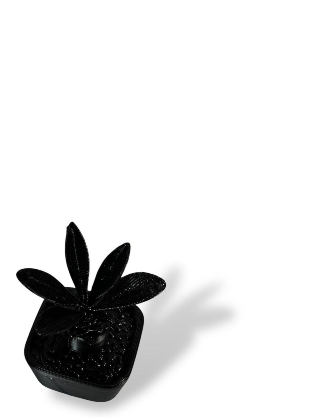 S__163790862_0