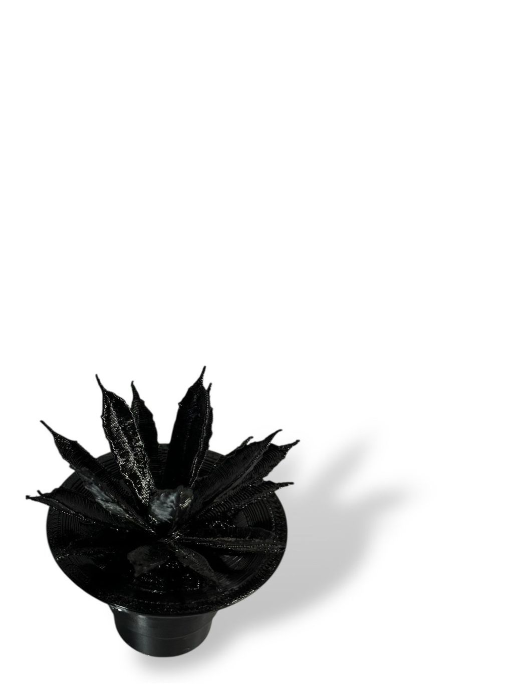 S__163790864_0