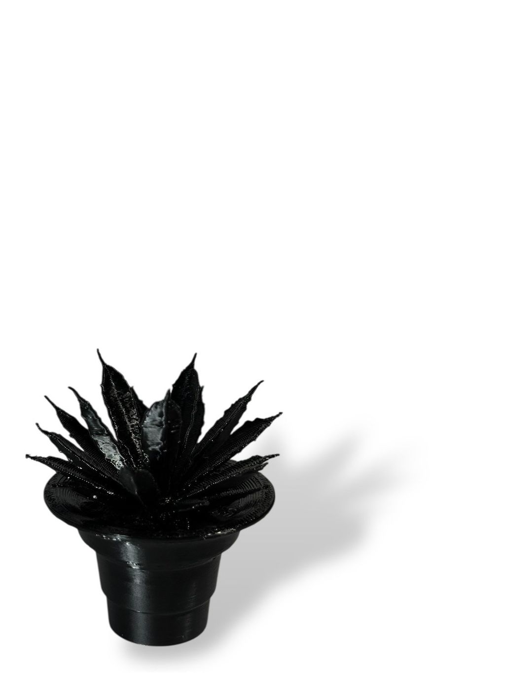 S__163790863_0
