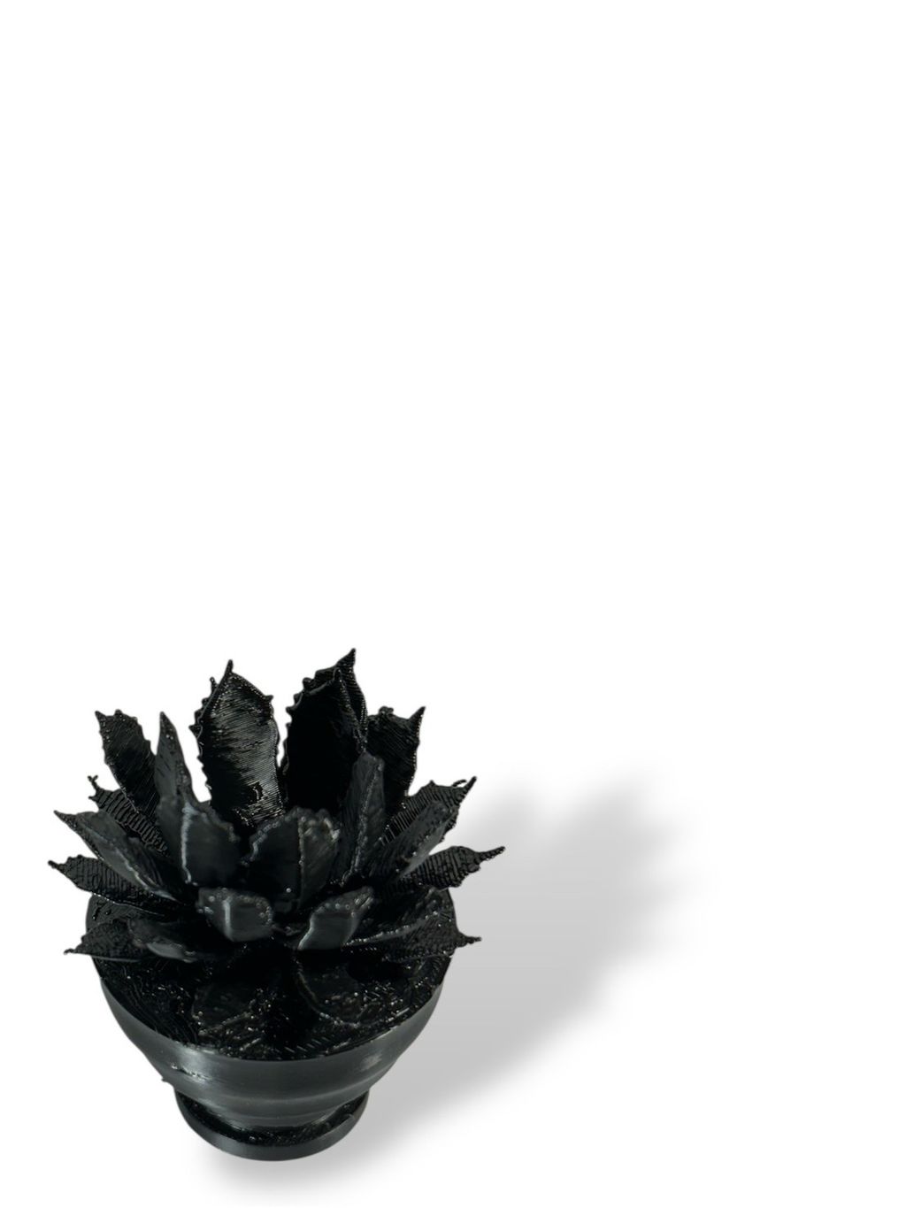 S__163790866_0
