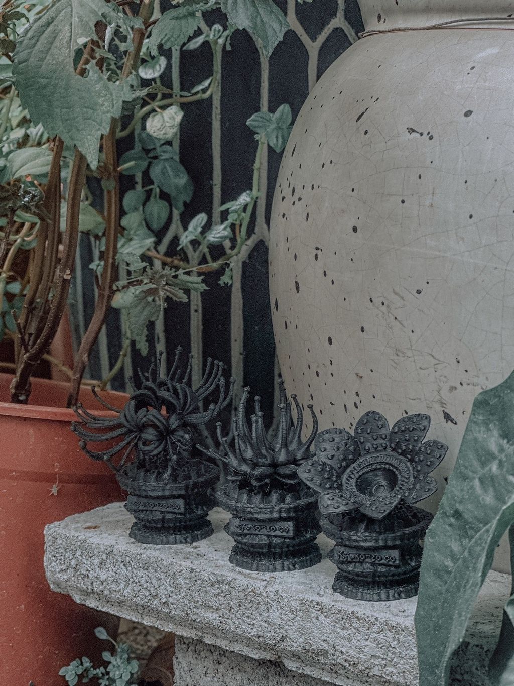 S__164732935_0