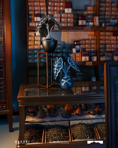 2025.09.01-觀音蓮形象照-3900