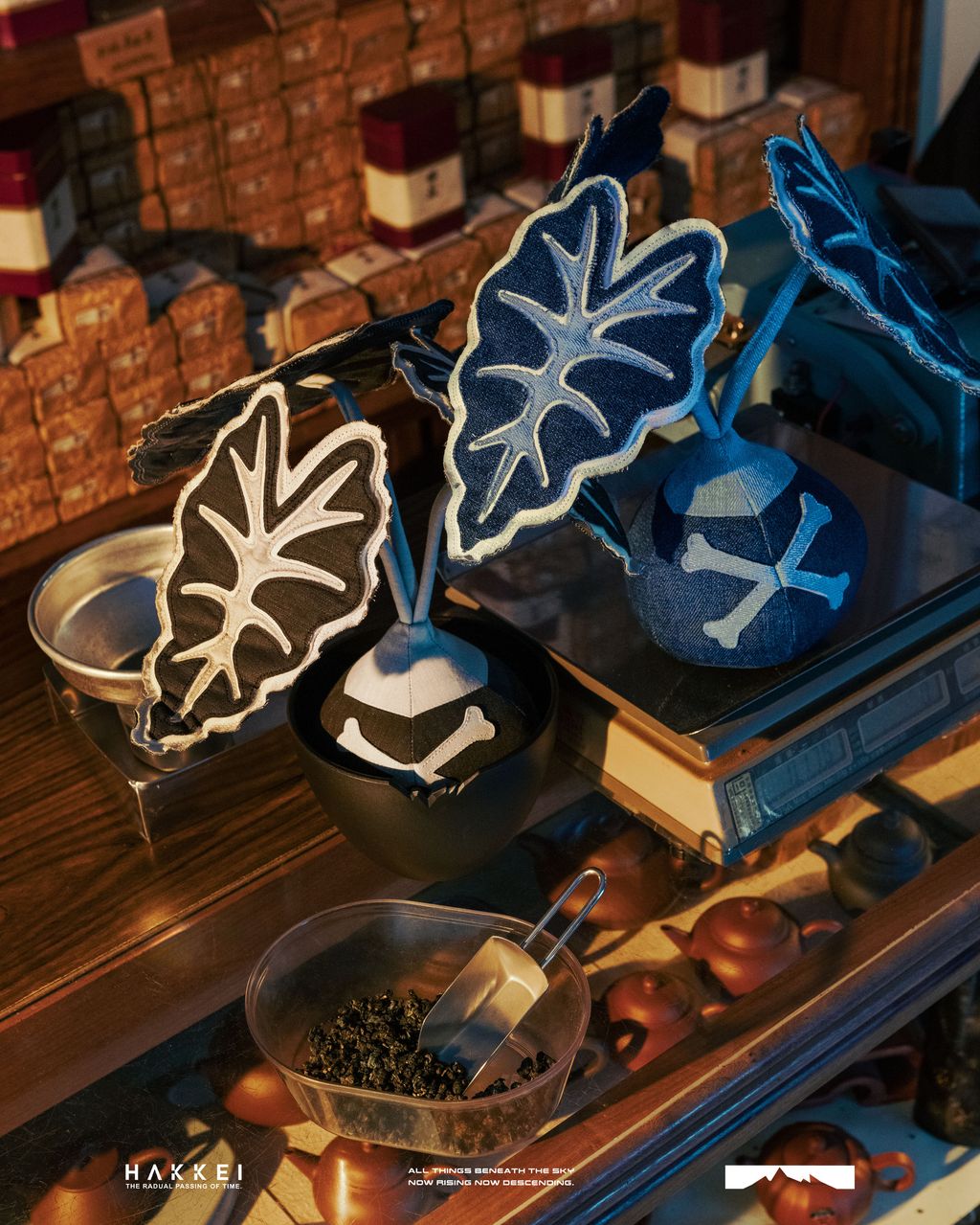 2025.09.01-觀音蓮形象照-3885