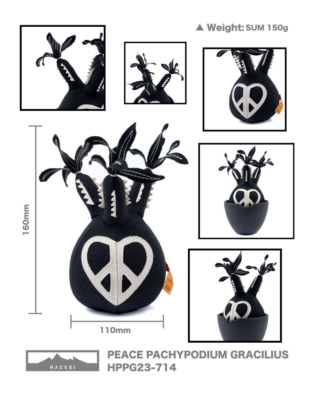 490314127_1234436308687594_2010293826313515558_n