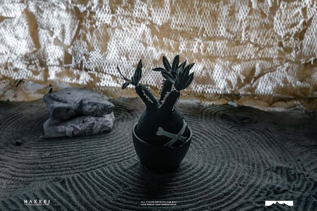 489820583_1230128652451693_8274348132238438506_n