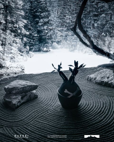 490105306_1229924382472120_3403705813169943990_n