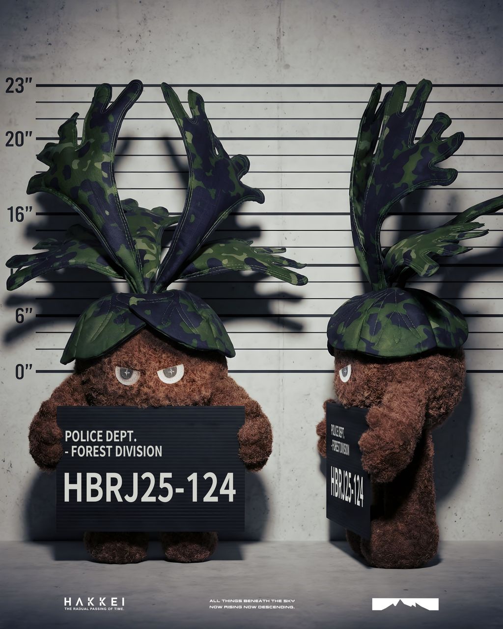 2025.12.13-鹿角蕨形象照-2-1