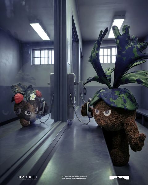 2025.12.13-鹿角蕨形象照-3-1