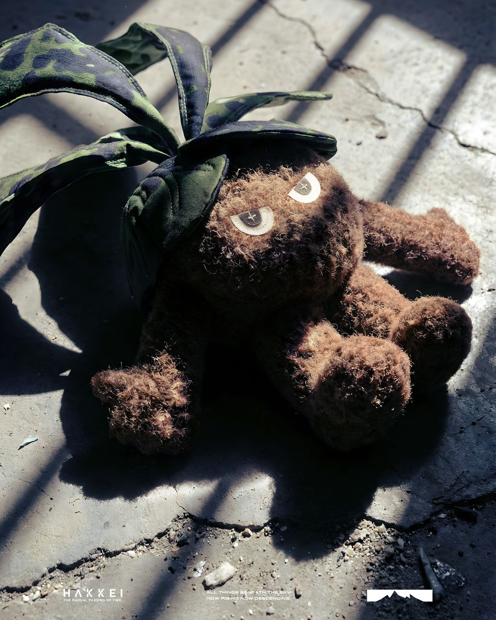 2025.12.13-鹿角蕨形象照-1-3