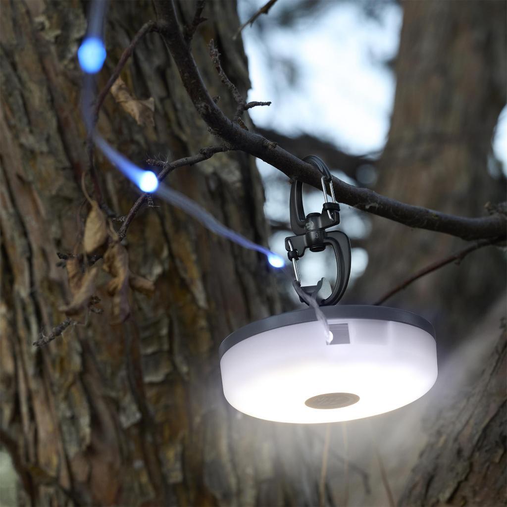 tw-11134207-7r98s-lu0sdeivp2pla0