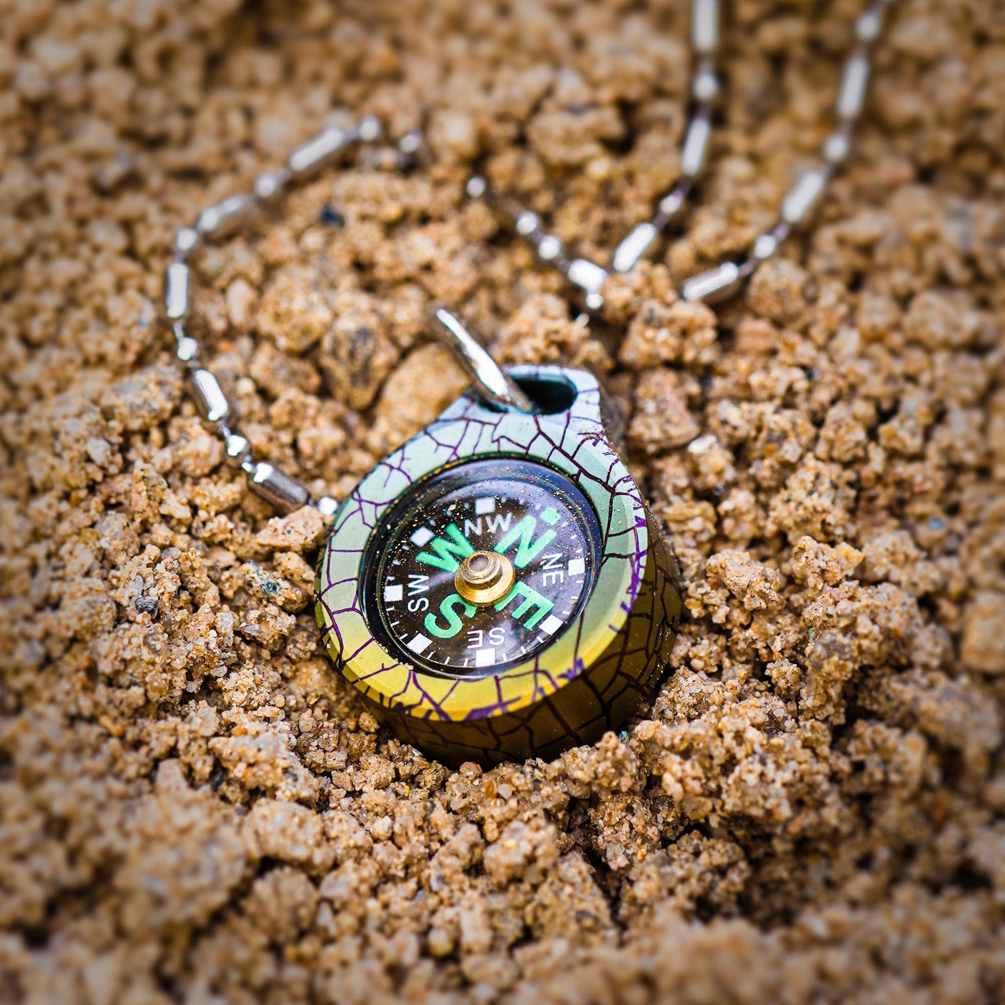 470169903_1740742926763554_7532394586023871402_n