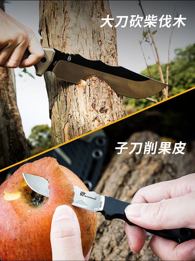 圖片_20250309164907