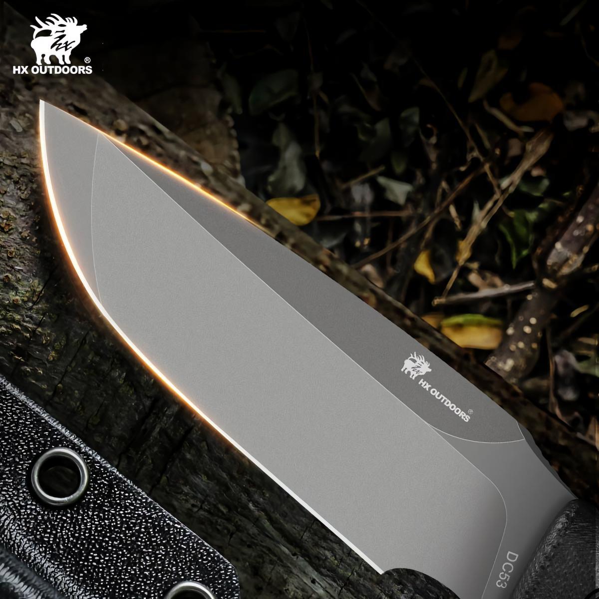 481220096_1799870650850781_1615752911350389862_n