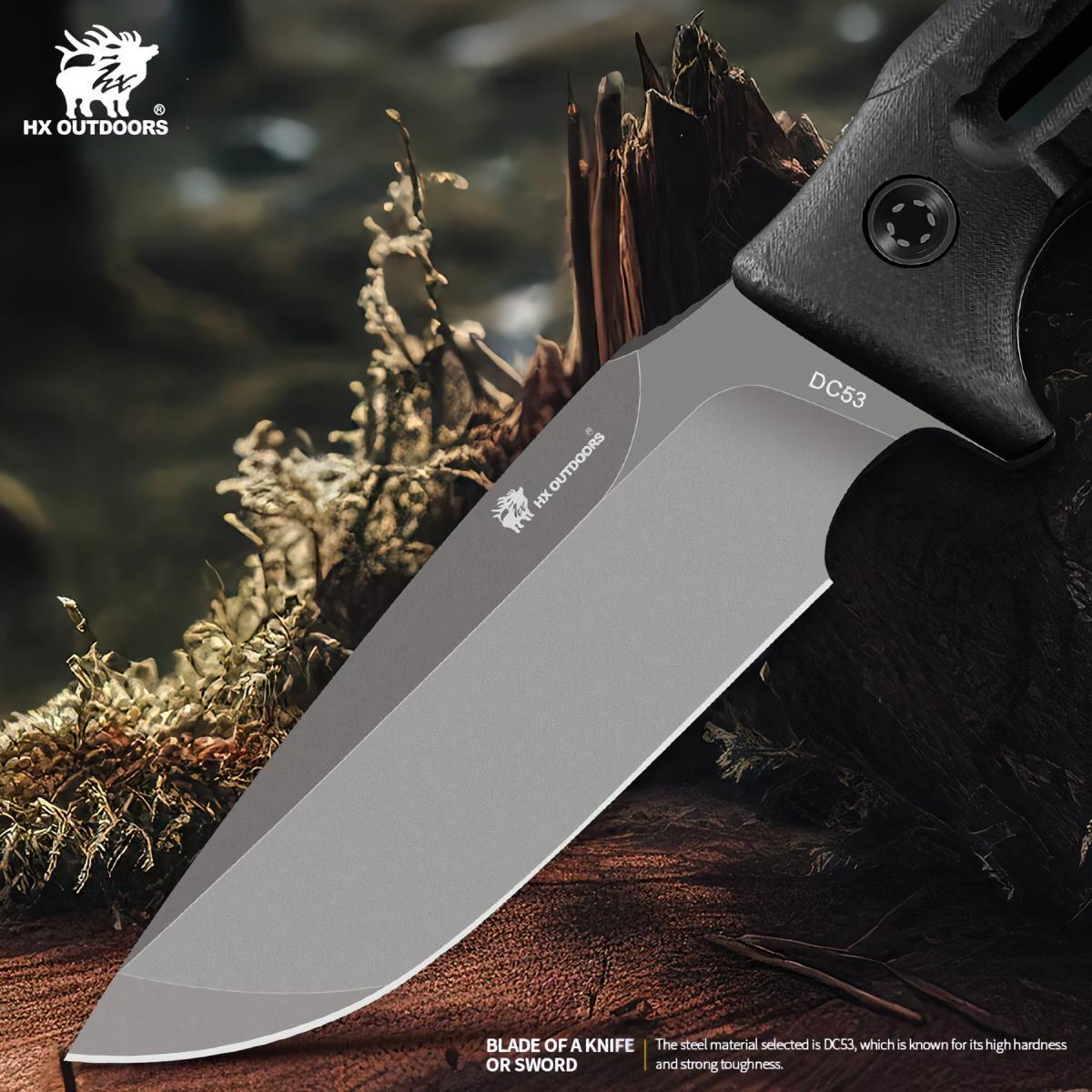 481310166_1799870587517454_8553130711987632013_n