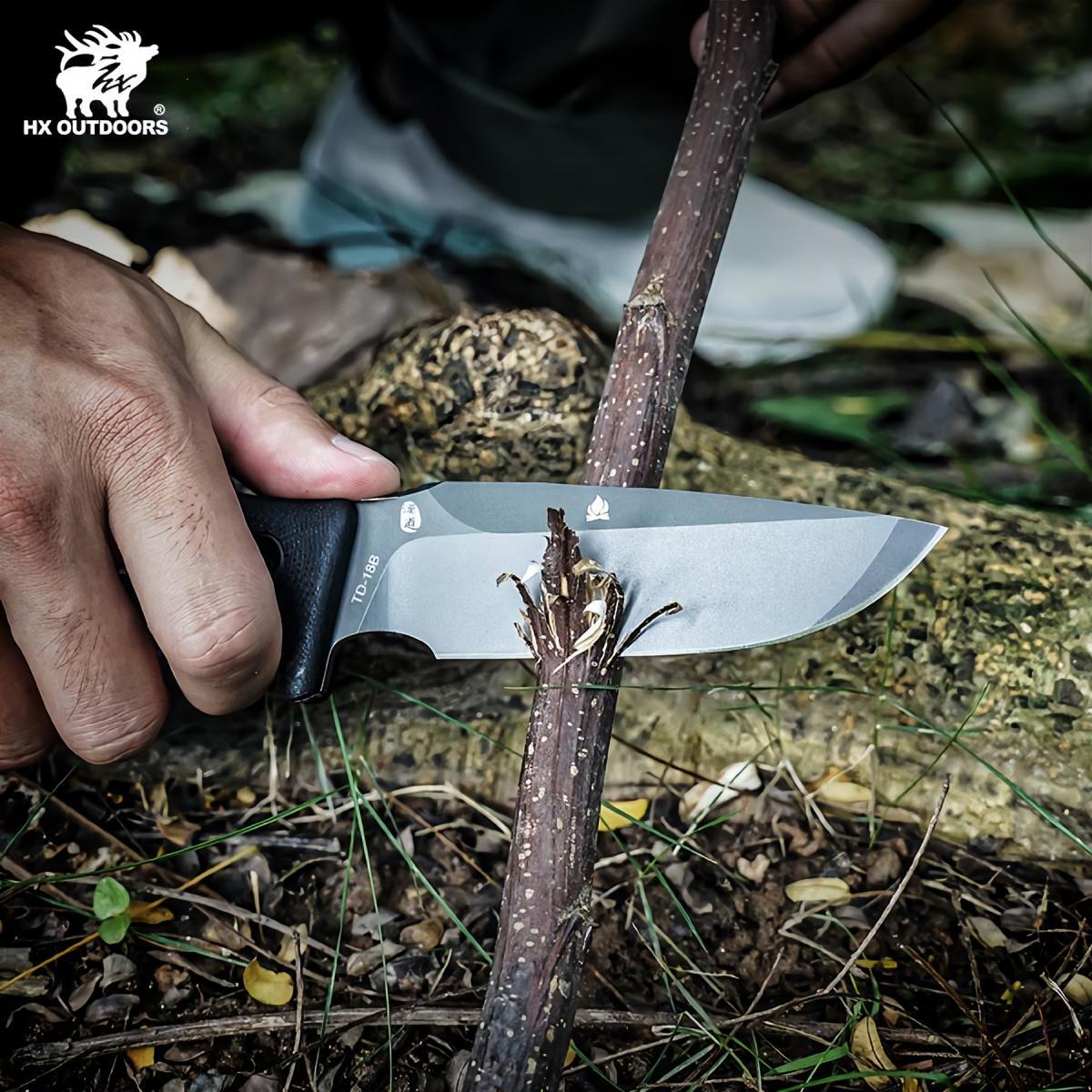 482003907_1799870424184137_7220741993614339646_n