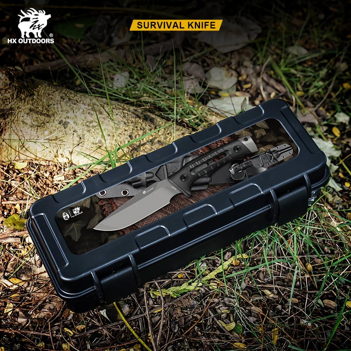 482028014_1799870554184124_5852150227058238149_n