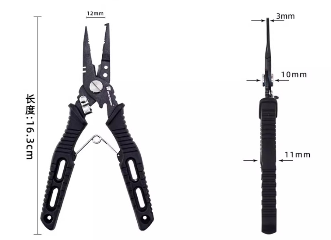 482052975_1803836687120844_4915487448308293282_n