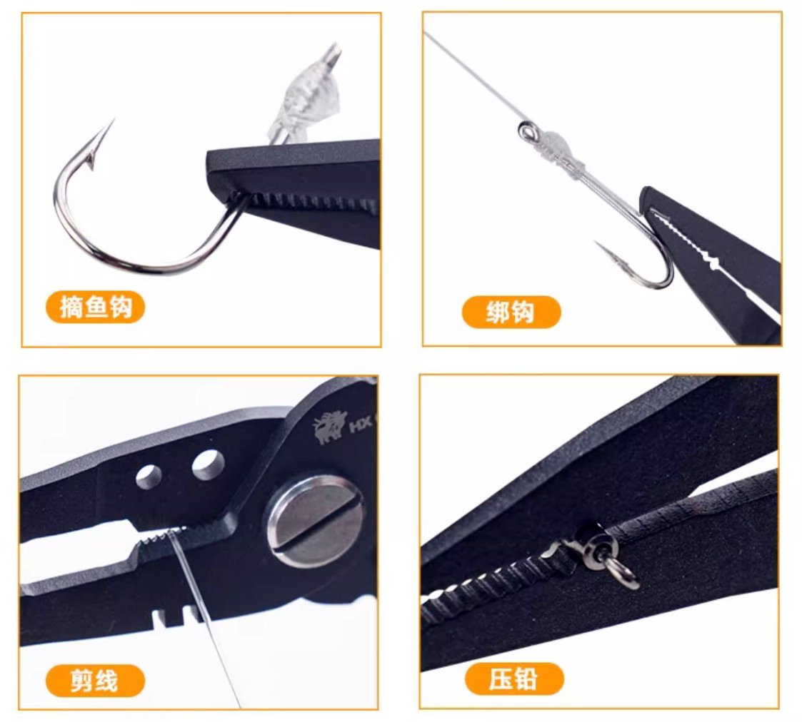 482024395_1803836523787527_585348163043676726_n