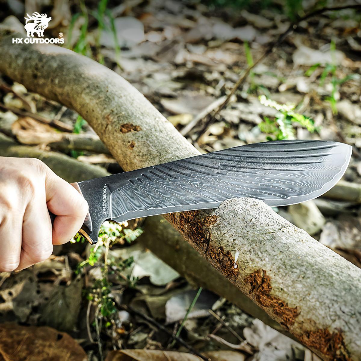 481186785_1799863127518200_5660012805172251862_n