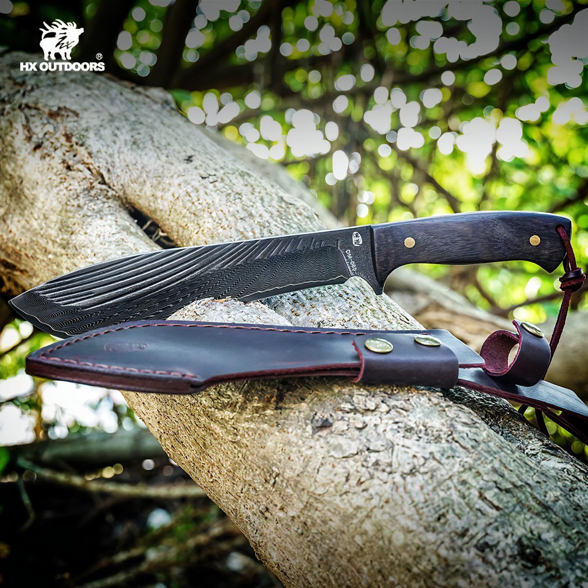 481199589_1799863117518201_5629154405356851056_n