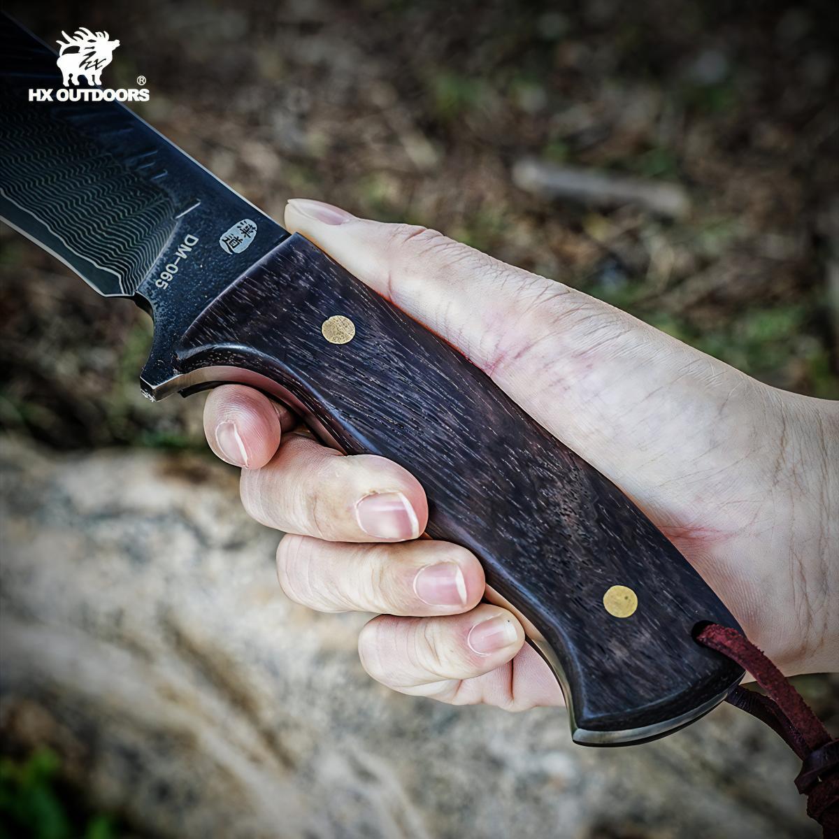 481067342_1799863177518195_7732278006680149591_n