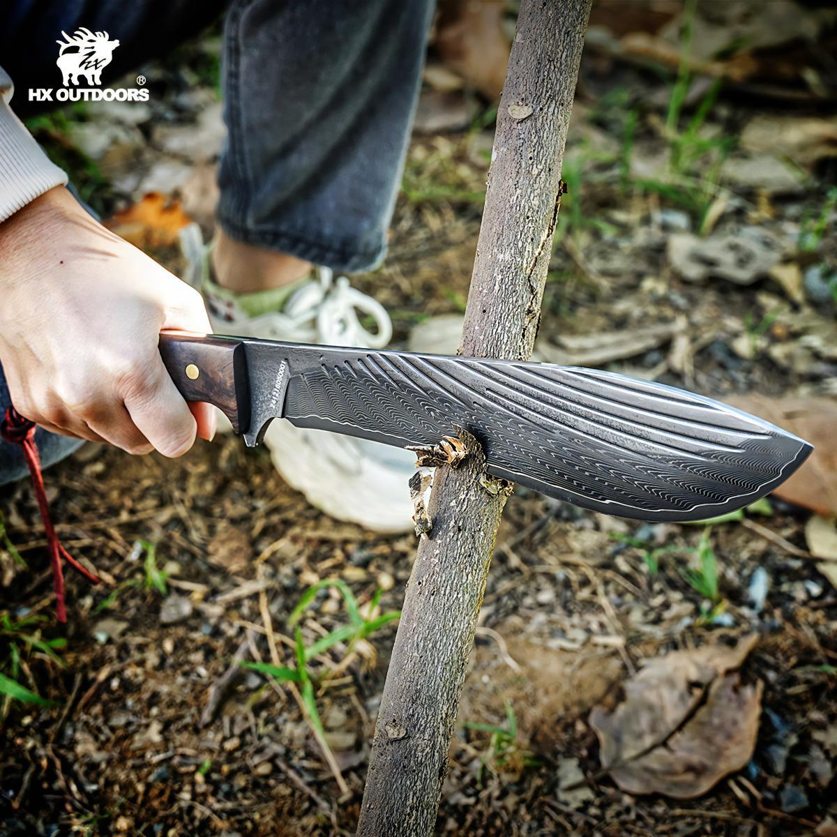 481052821_1799863147518198_5348208251911559833_n