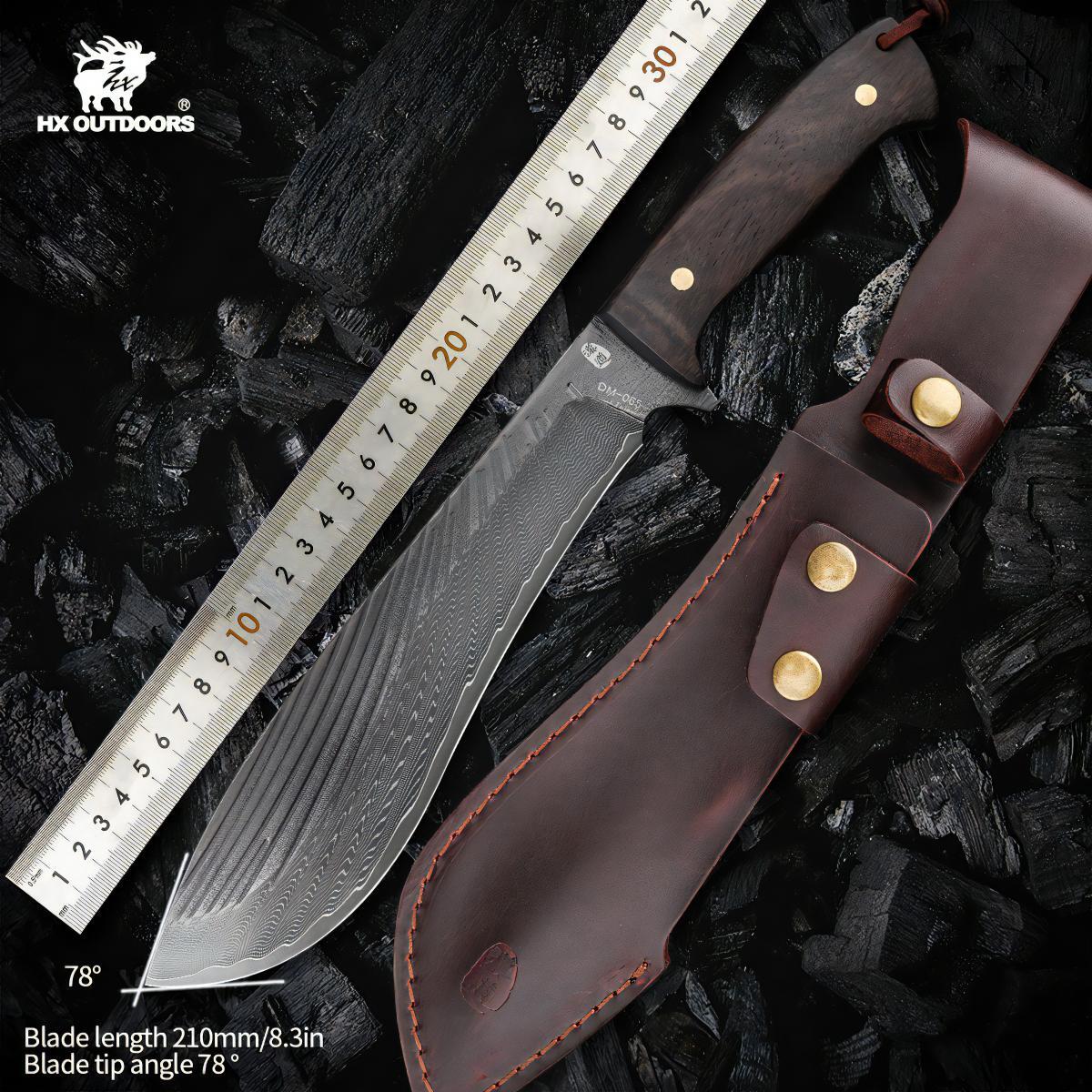 482011089_1799863077518205_5945858360502067577_n