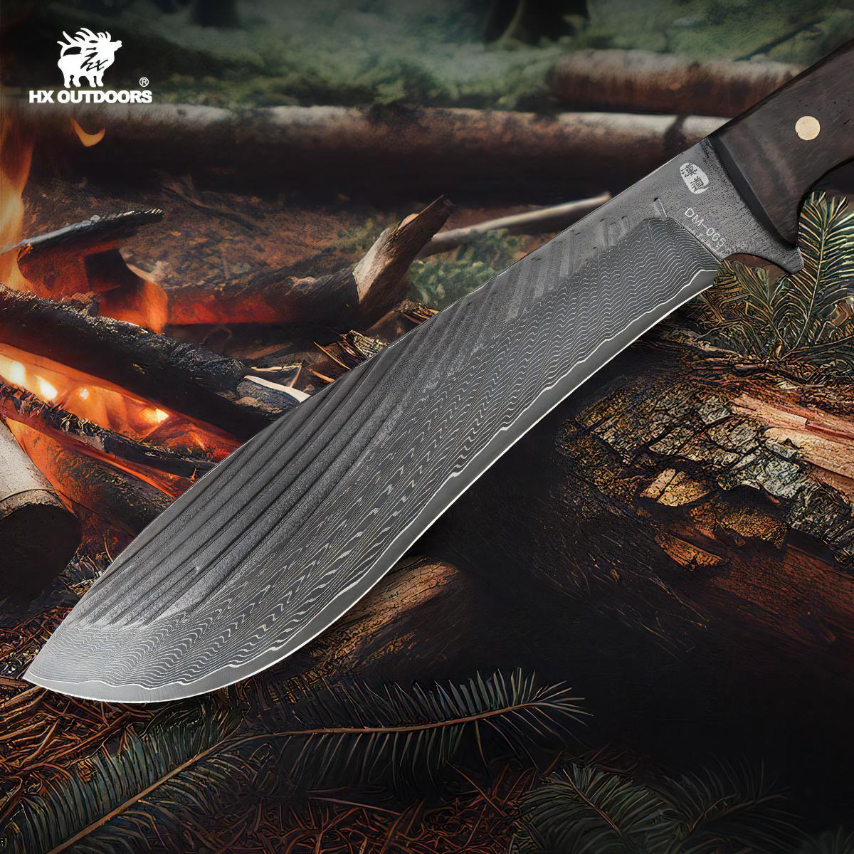 481443526_1799863280851518_3504889143926492473_n