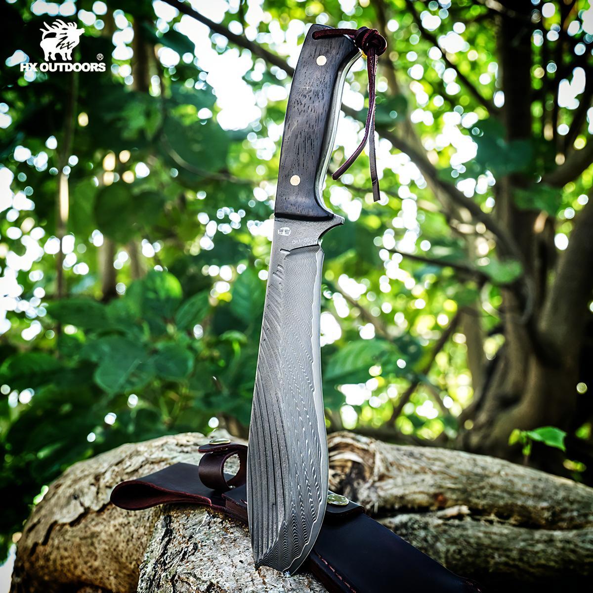 481122415_1799863074184872_7792940449243074996_n