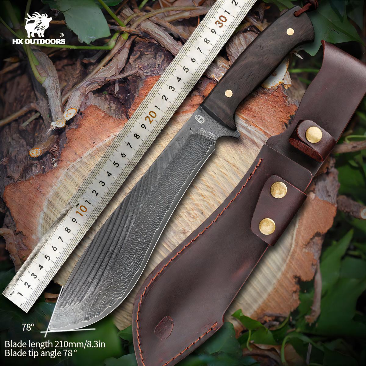 481446348_1799863060851540_3734178118281142666_n