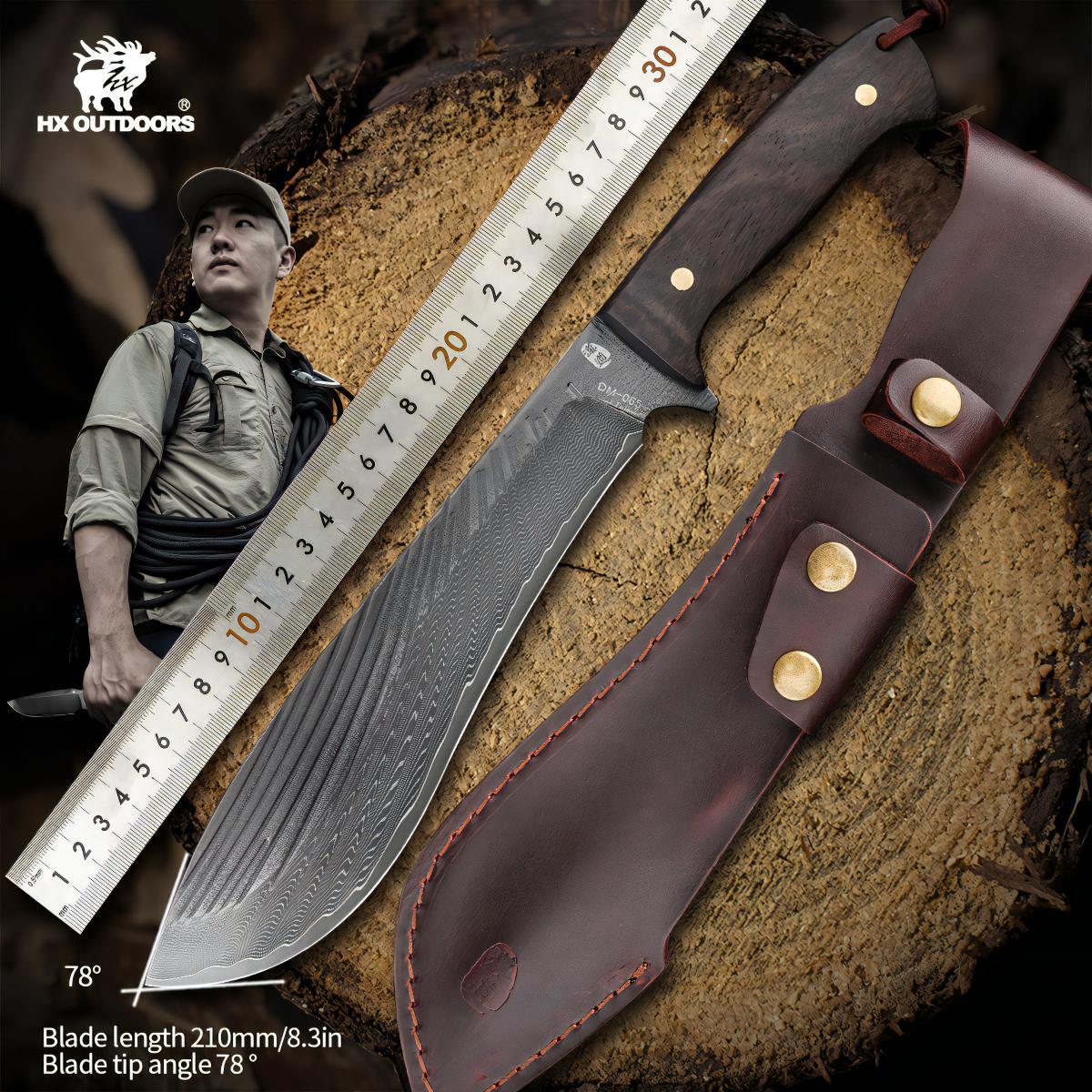 481768063_1799863144184865_4747129367574014454_n