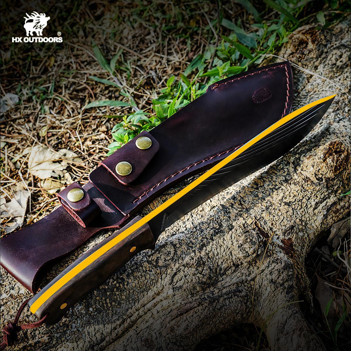 481829627_1799863264184853_2586159674073621349_n