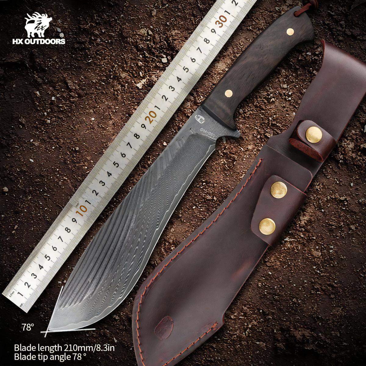 481288317_1799863164184863_4789658099160459453_n