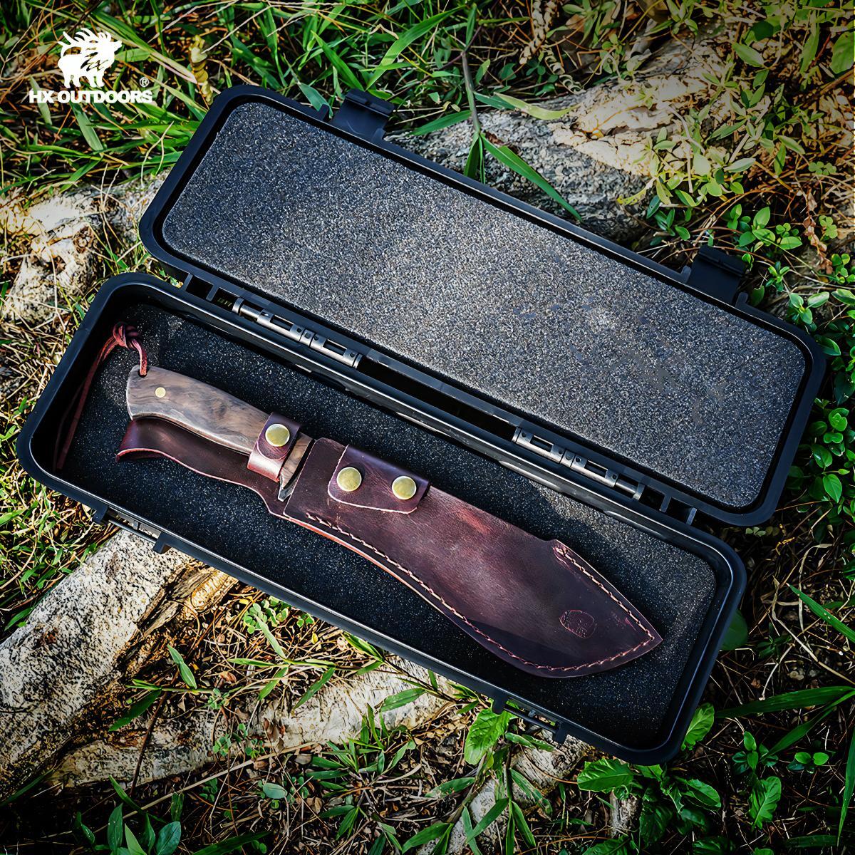 481161255_1799863204184859_2202176813443960557_n