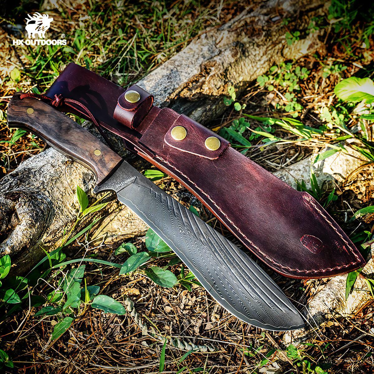 481246232_1799863140851532_8834031712855537803_n