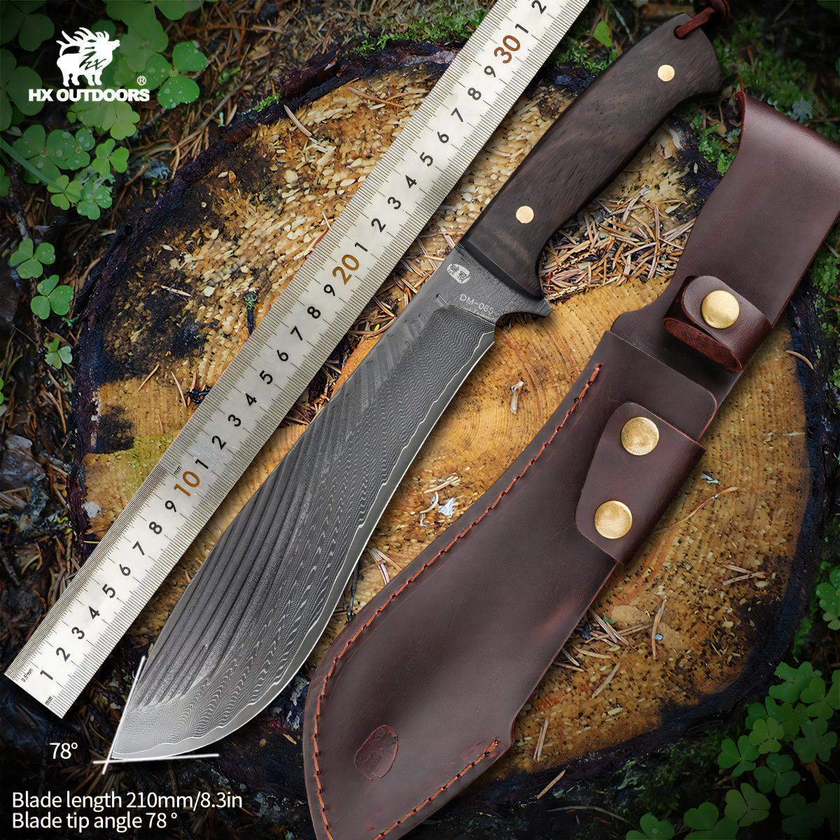 481911094_1799863190851527_8575490873991612758_n