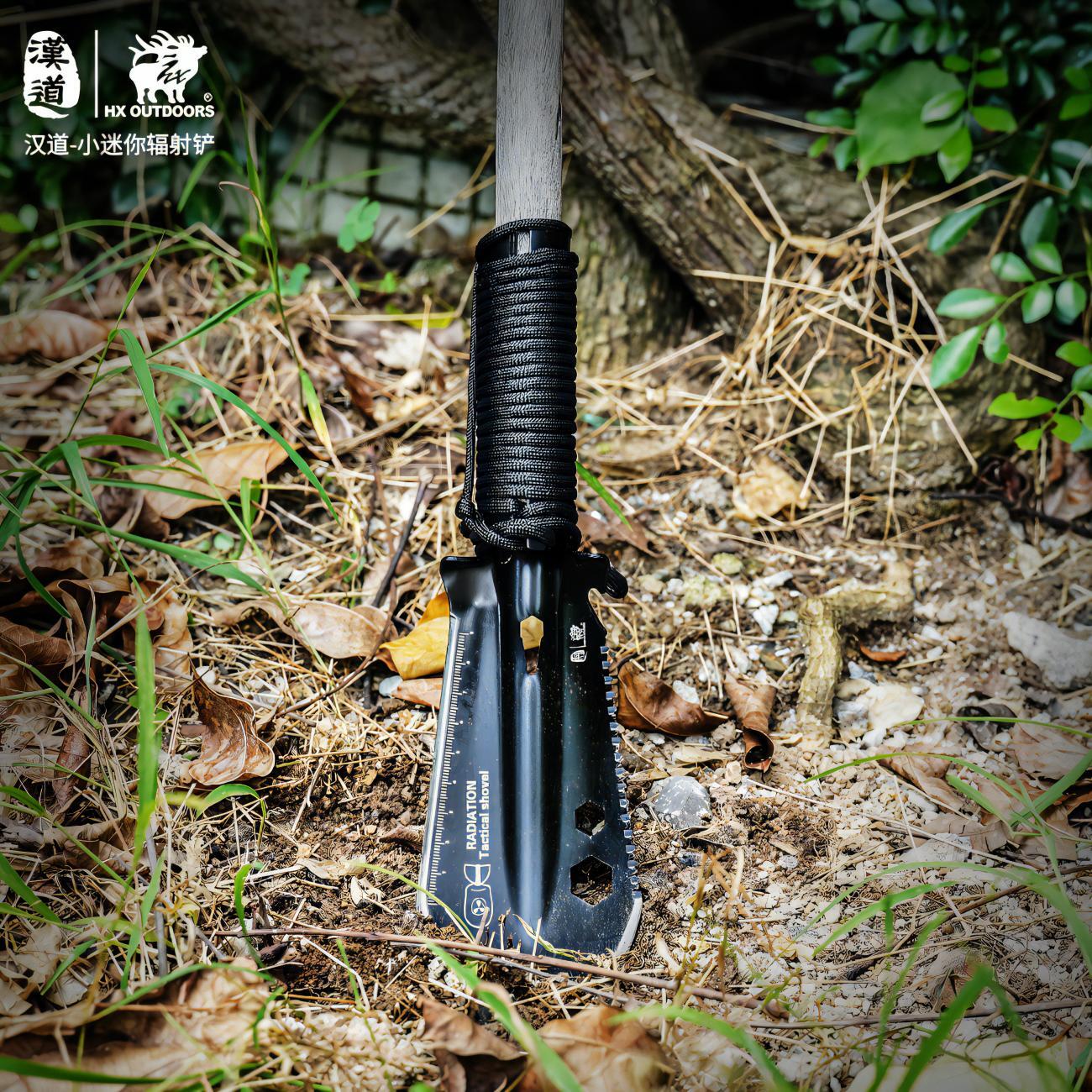 489110551_1825261518311694_4499357088597775497_n