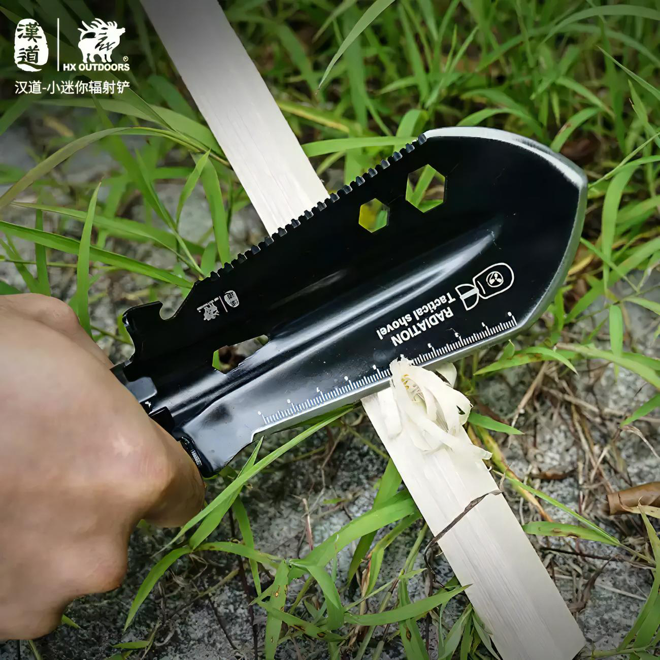 488253737_1825261608311685_7548693429201268754_n