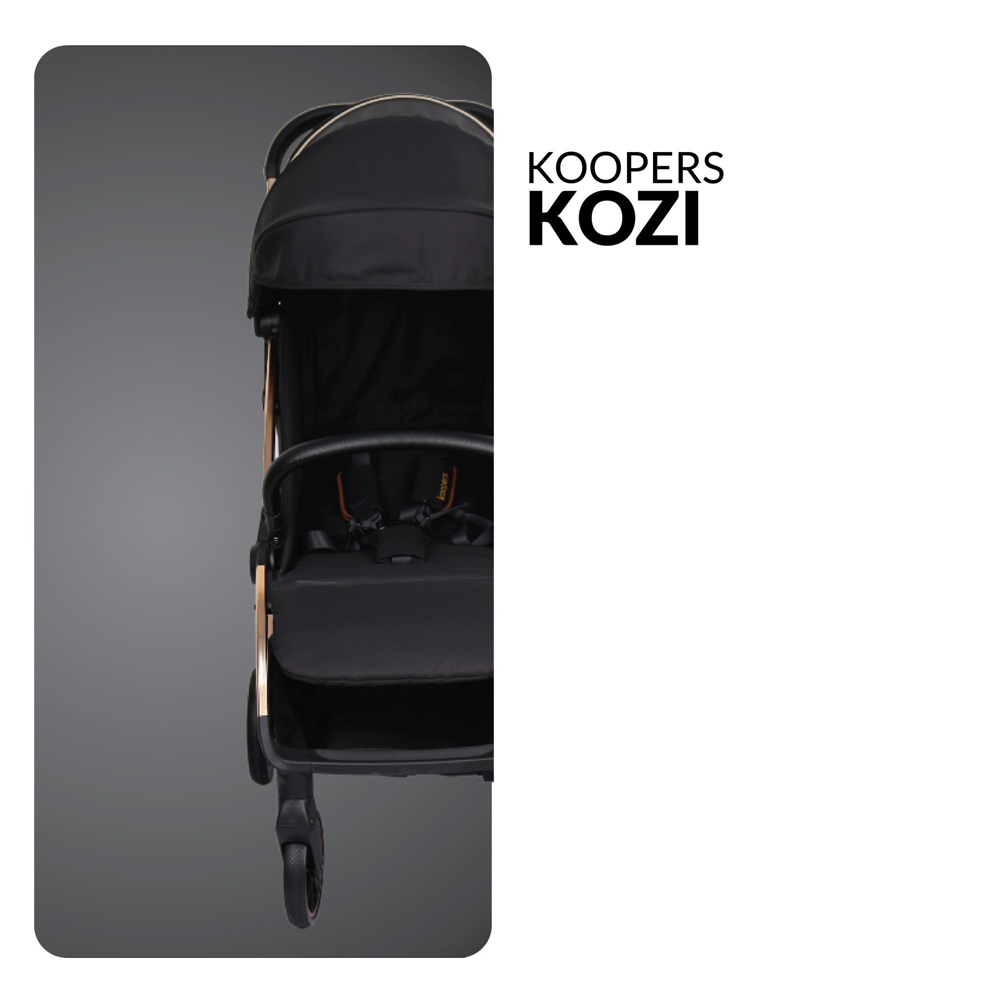 Kozi-long-stript-01-2048x2048