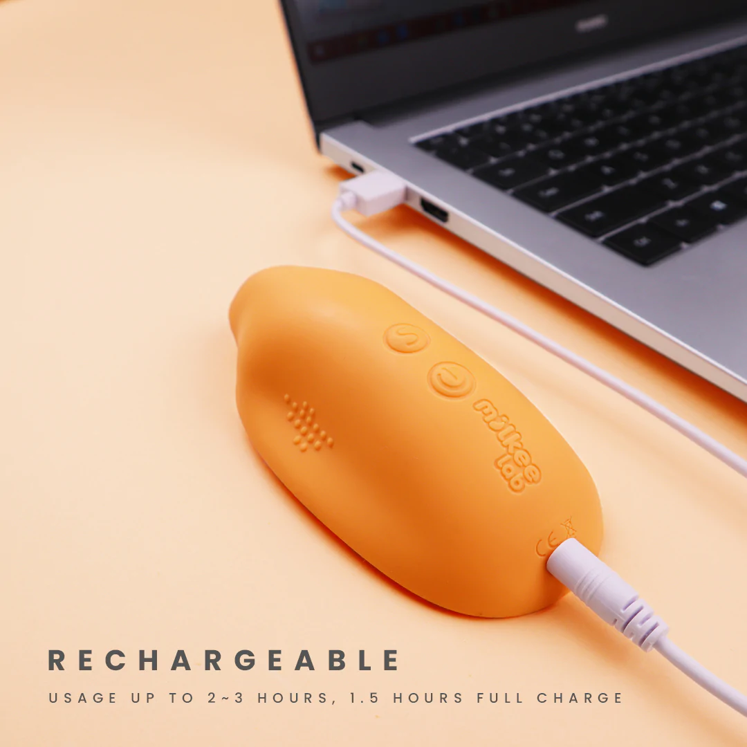 12._LM-Rechargeable