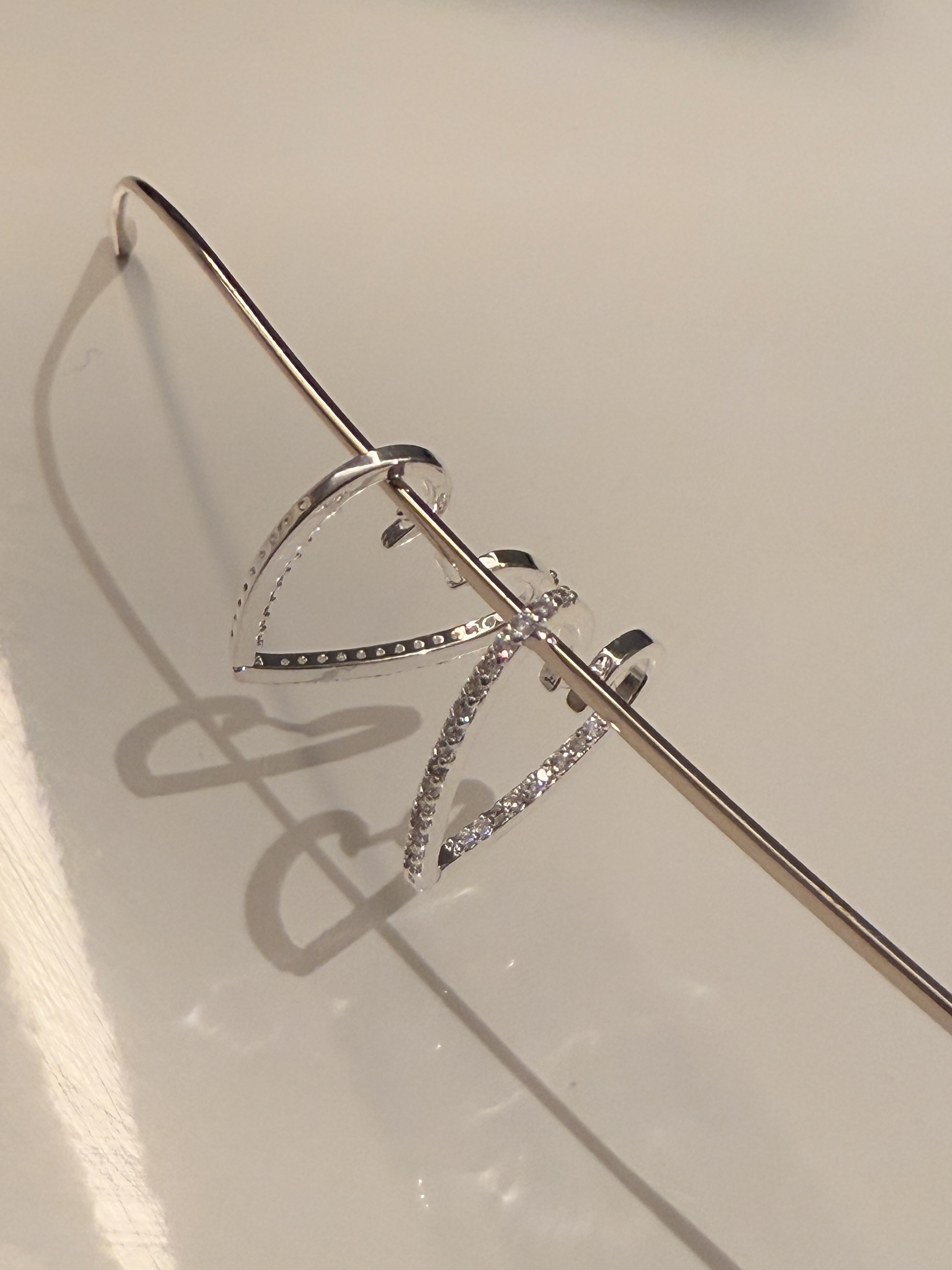 IMG_8848-1741851673673