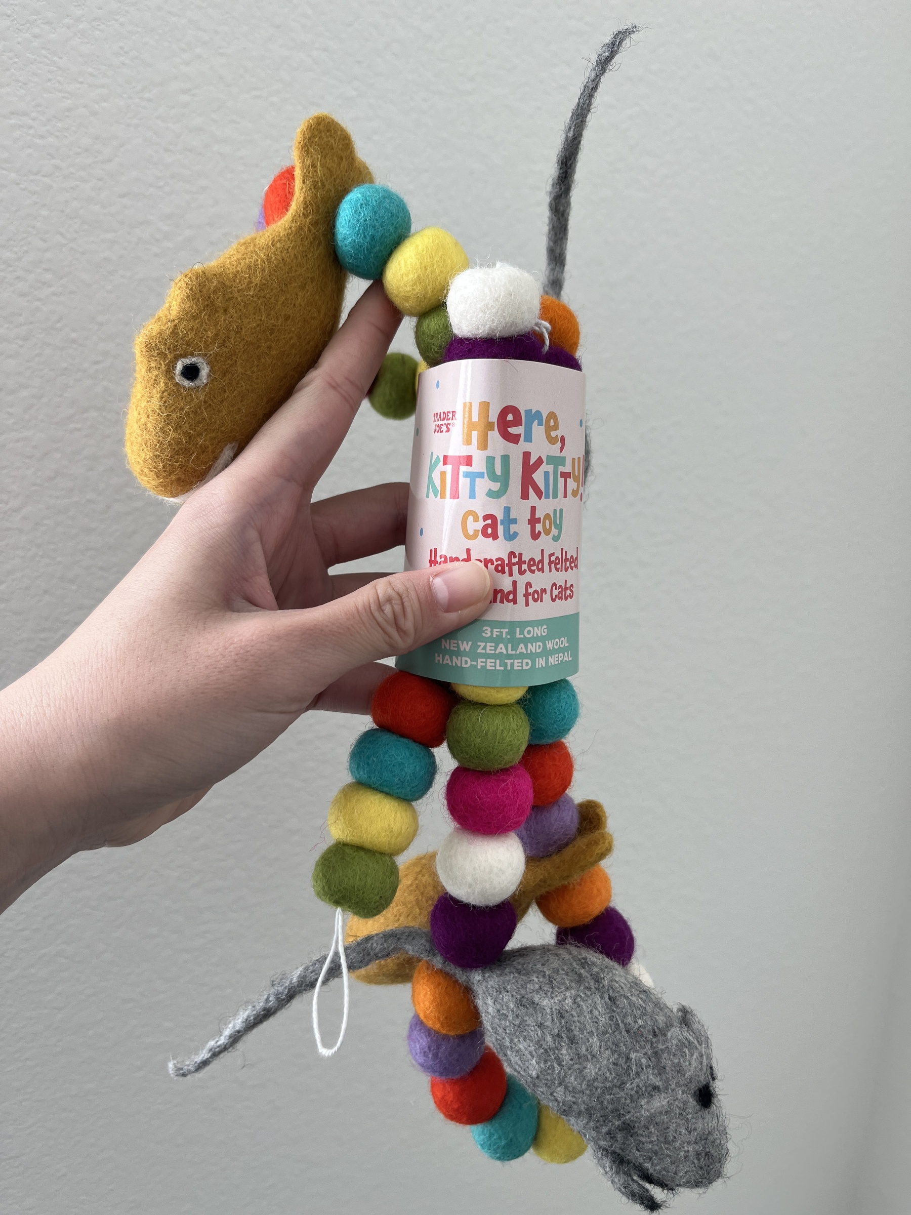 IMG_0559-1731635950801