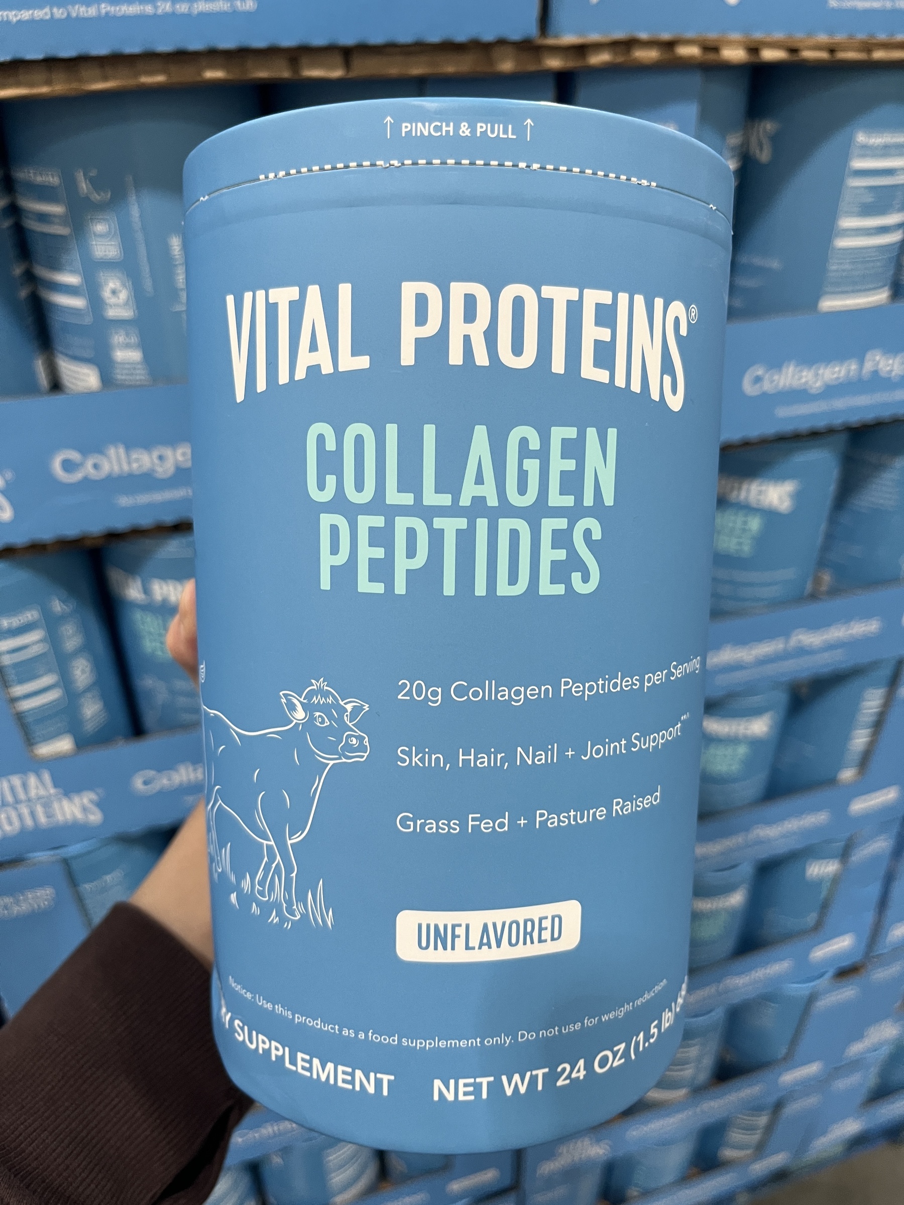 IMG_0554-1731832806455