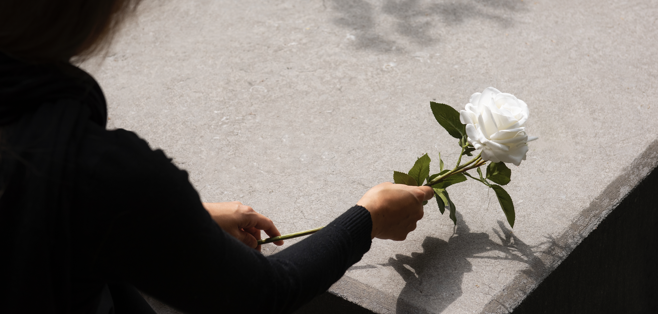 桃園中壢靈堂/殯儀館介紹與比較｜地點、費用、特色一次看