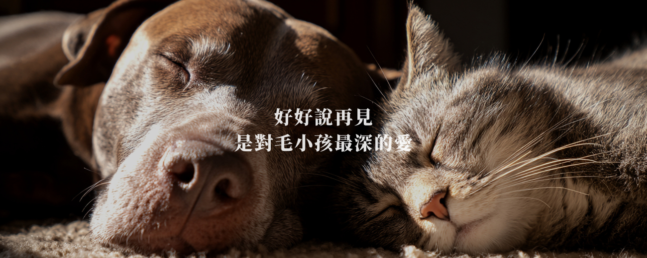 好好說再見 是對孩子最深的愛 (2)