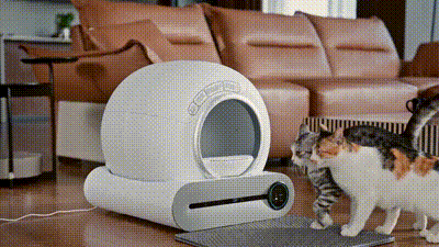  | Smart Pets