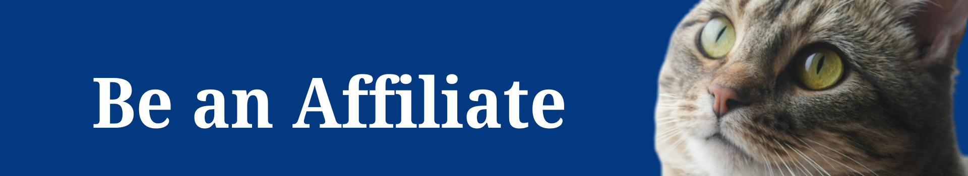 Affiliate